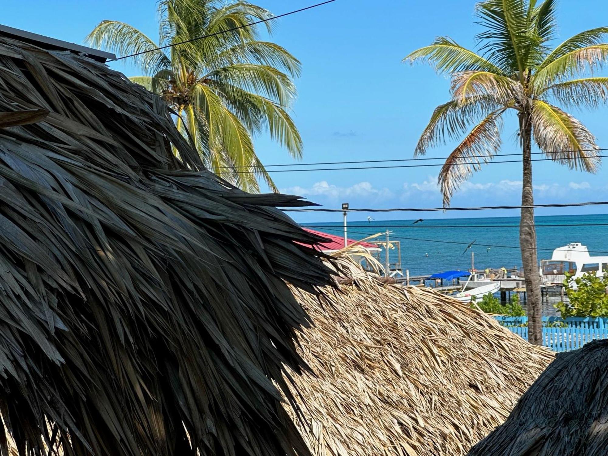 Hotel The Bounty Caye Caulker Exteriér fotografie